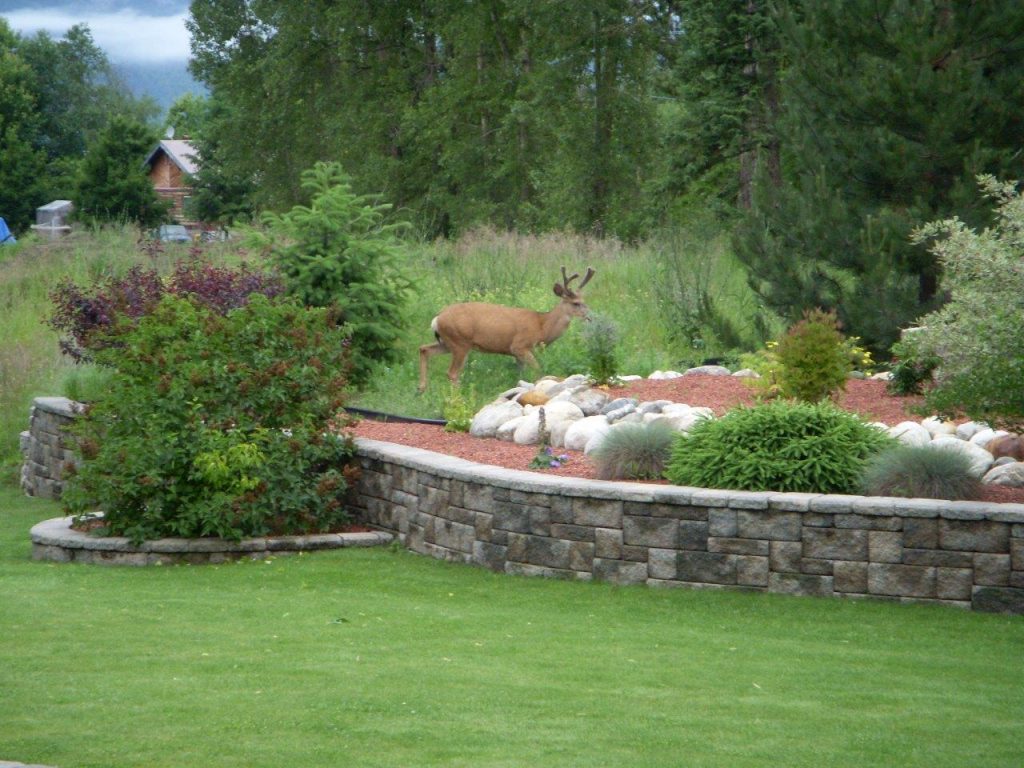 About Shaver Mountain Landscaping & Contracting
